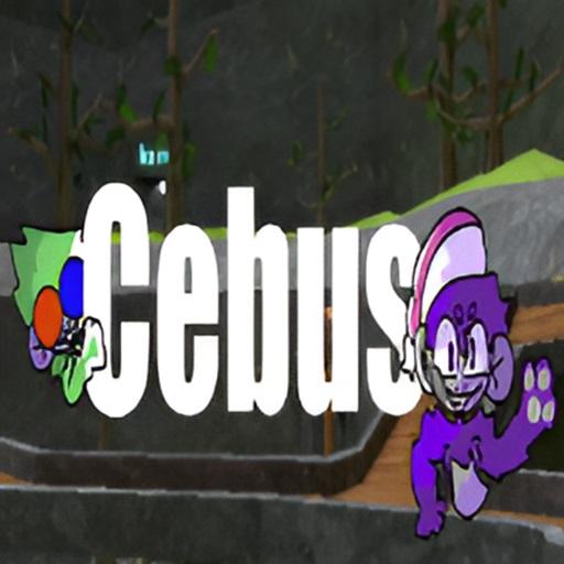 Cebus