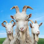Icon Goat Simulator 3