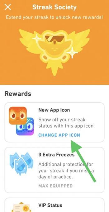 How to Change Duolingo App Icon