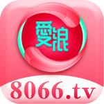 Icon 8066.TV