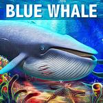Icon Blue Whale Game