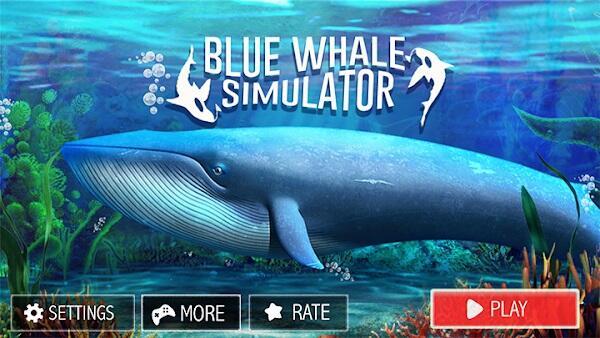 history of blue whale game