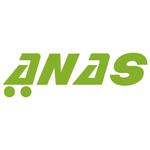 Icon ANAS iOS Netlify