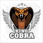 Icon Cobra King Pro