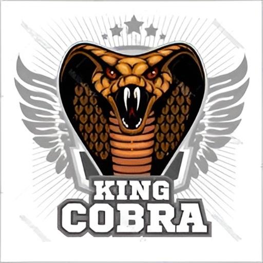 Cobra King Pro