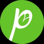 Icon Green Pista