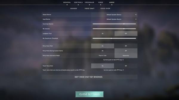 How to disable in game voice chat entirely