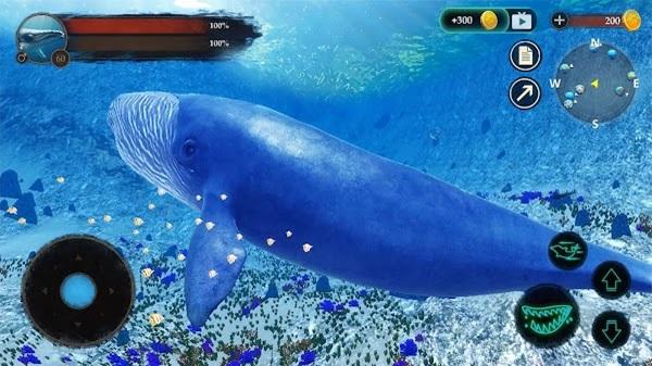 How to download blue whale