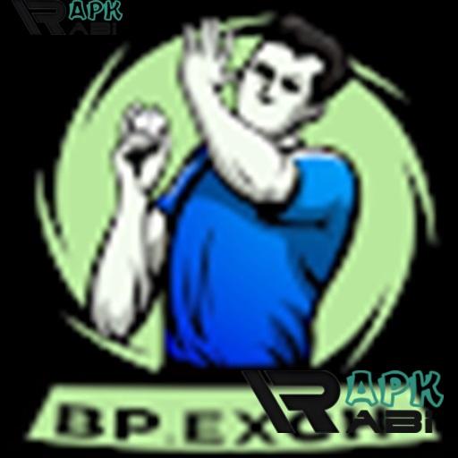 Bpexch 3.0 APK Original