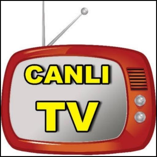 Mobile TV