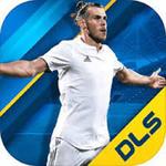 Icon Dream League Soccer 2015