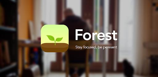 Thumbnail Forest Premium