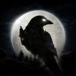 Icon Night Crows