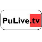 Icon Pulive TV