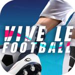 Icon Vive Le Football