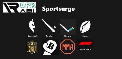 Thumbnail Sportsurge