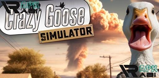 Thumbnail Crazy Goose Simulator
