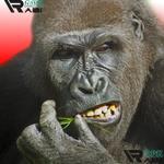Icon Flying Gorilla